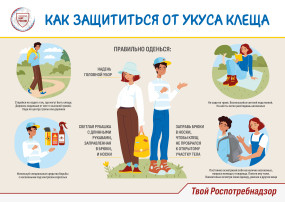 Осторожно, клещи! Осторожно, клещи!.