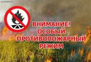 Особый пожароопасный режим Особый пожароопасный режим.